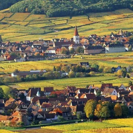 Сasa de vacaciones Maison Vigneron Domaine Fritz Sigolsheim