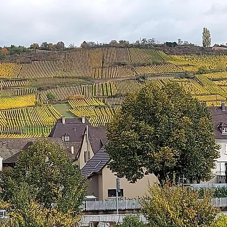 Maison Vigneron Domaine Fritz Vakantiehuis *