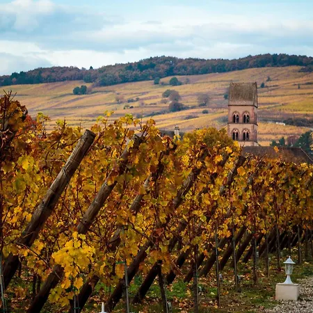 Сasa de vacaciones Maison Vigneron Domaine Fritz *